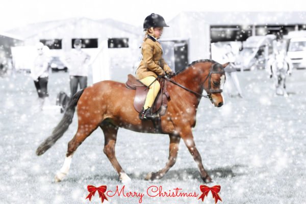 Personalised Christmas Cards with your own images and a snowy background