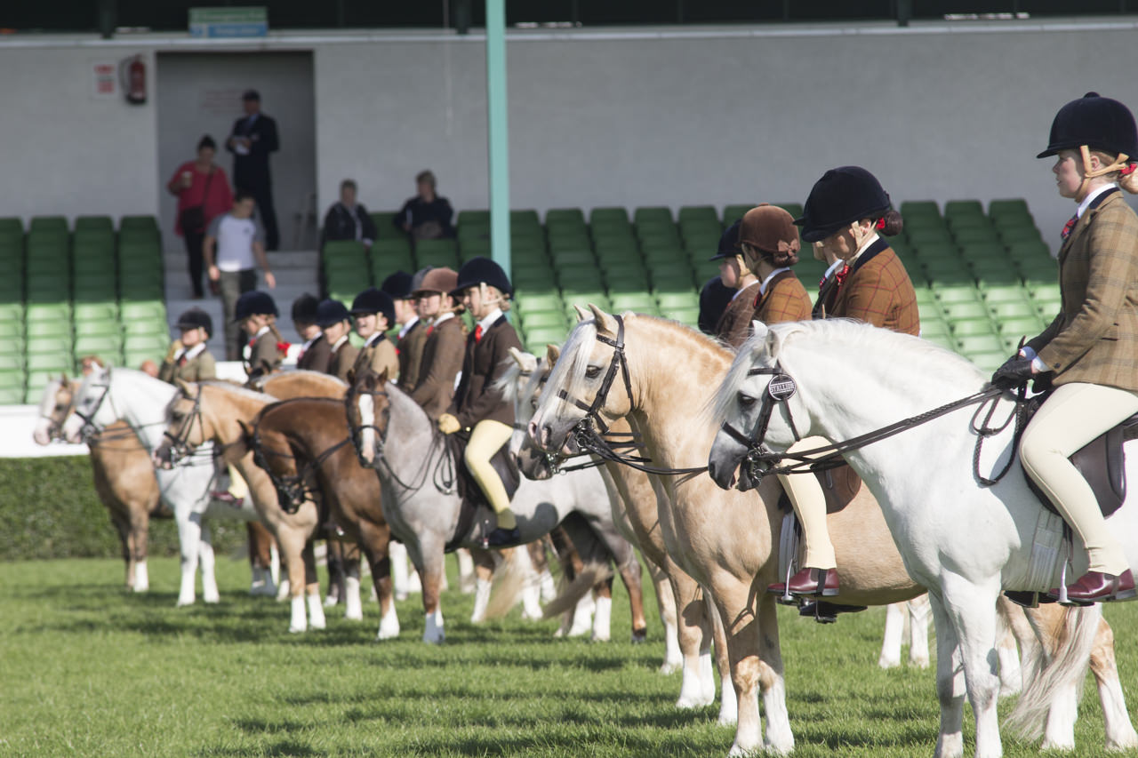 The Great Yorkshire Show- Our favourite Trade Stands