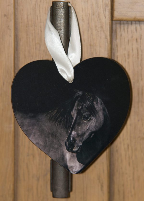 HoofPrints Personalised Photo Heart Ornament